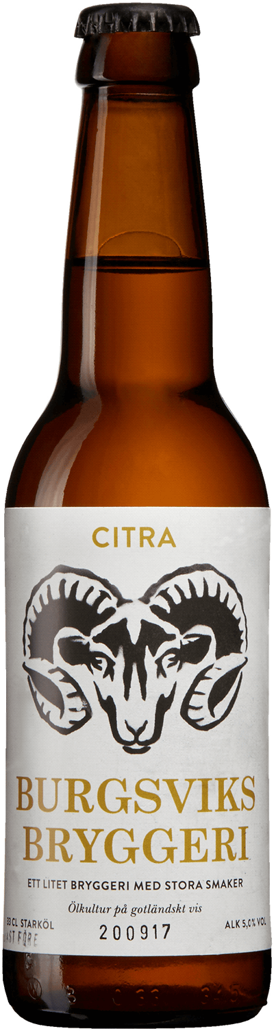 Produktbild för Burgsviks Bryggeri Citra