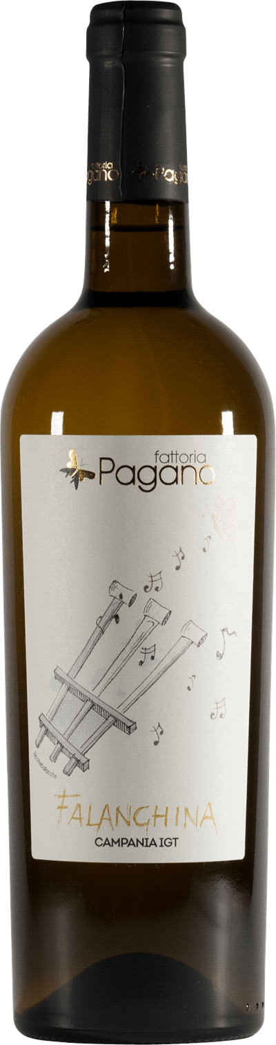 Produktbild för Falanghina