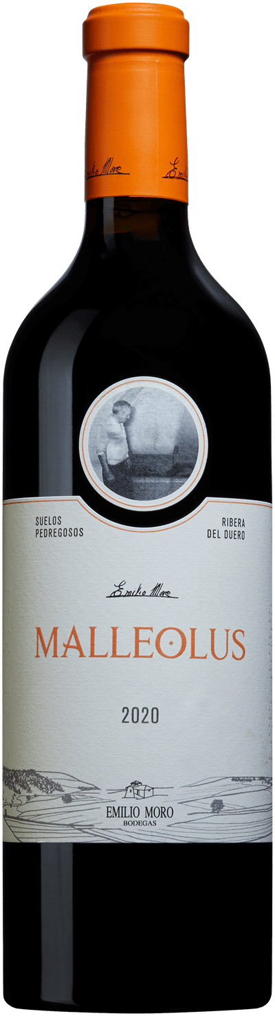 Produktbild för Malleolus