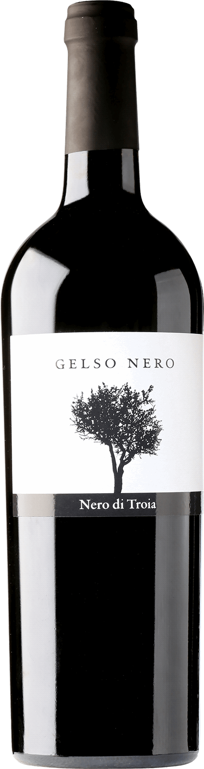 Nero di troia Puglia вино. Вино Primitivo Nero di troia. Вино красное Неро ди Троя. Вино Podere 29 Gelso Nero Nero di troia 2019.