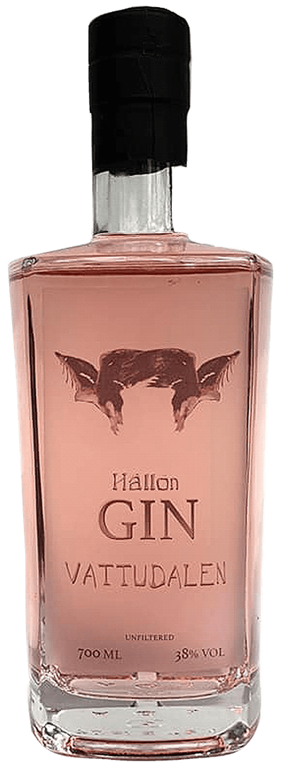 Produktbild för Vattudalen Hallon Gin