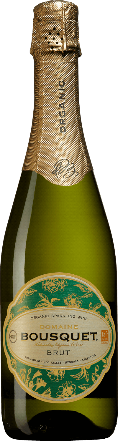 Produktbild för Domaine Bousquet White Brut