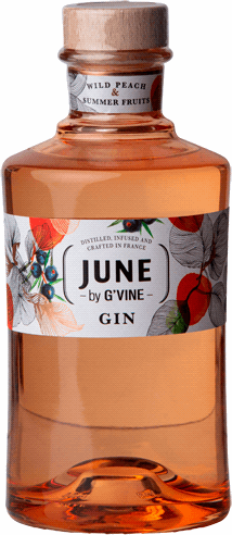 Produktbild för June Wild Peach Gin
