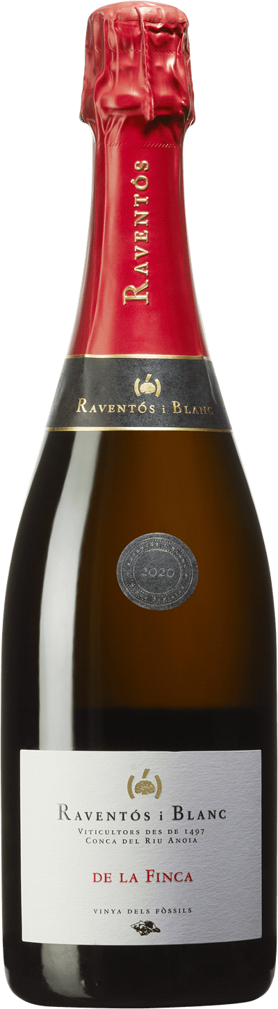 Produktbild för Raventós i Blanc