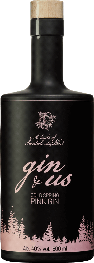 Produktbild för Gin & Us