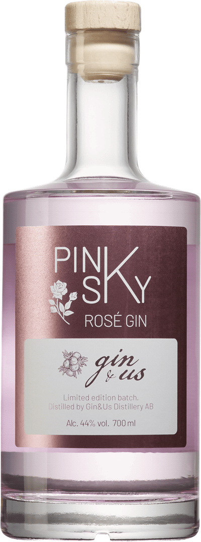 Produktbild för Gin & Us