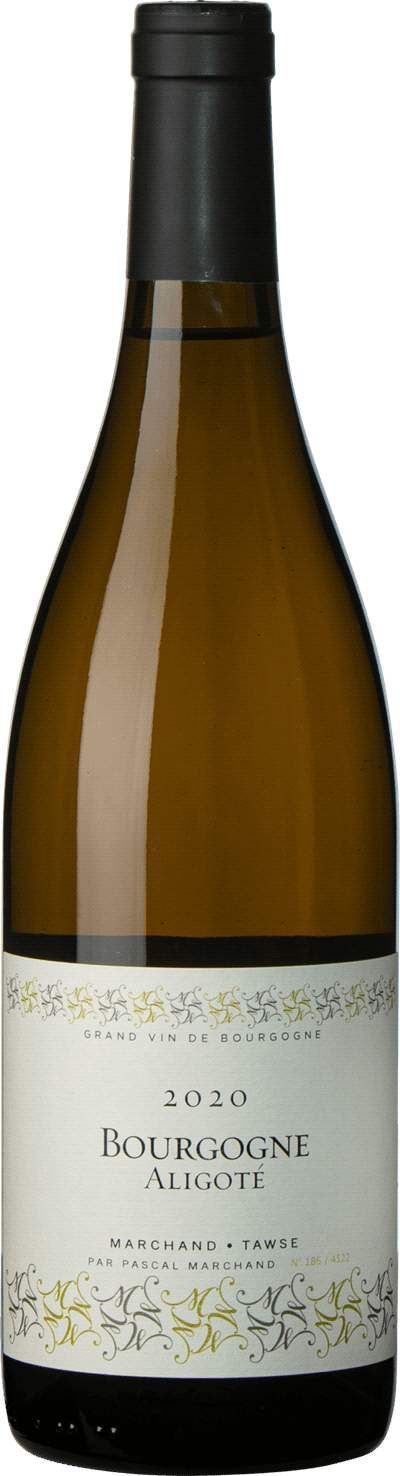 Produktbild för Bourgogne Aligote