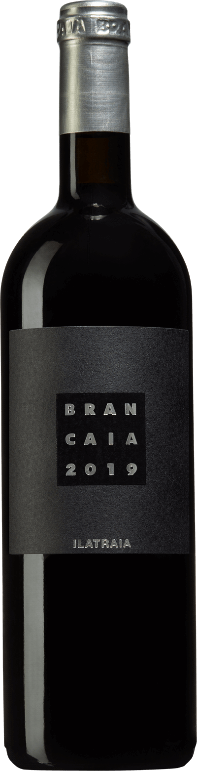 Produktbild för Brancaia