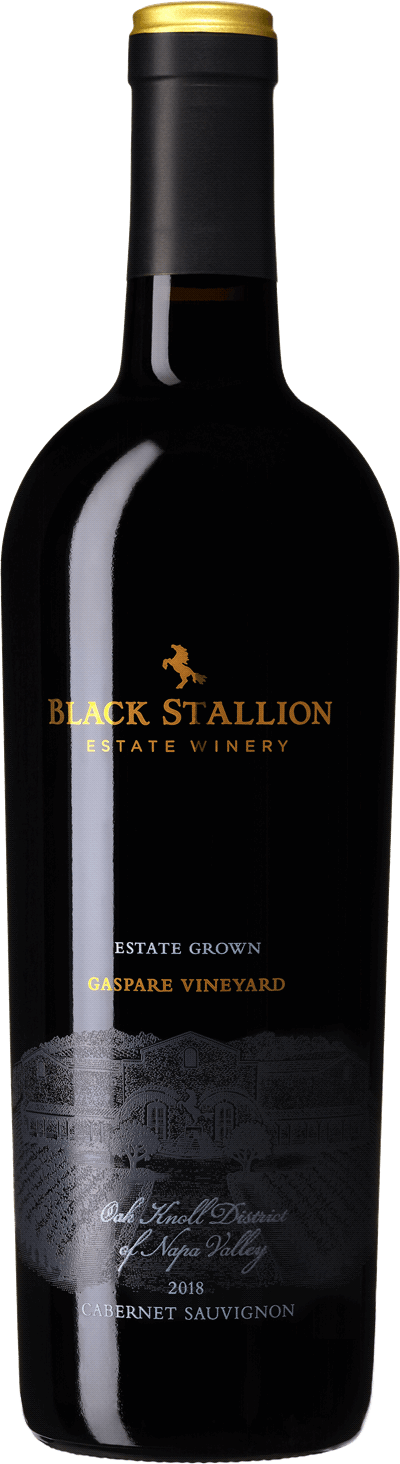 Produktbild för Black Stallion