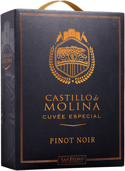 Produktbild för Castillo de Molina