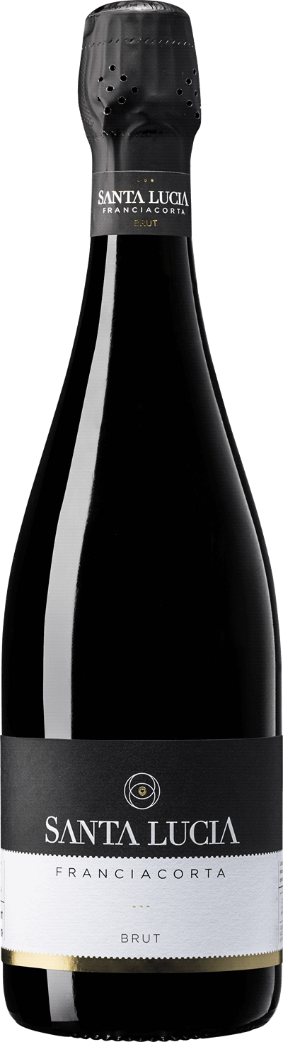 Produktbild för Franciacorta Brut