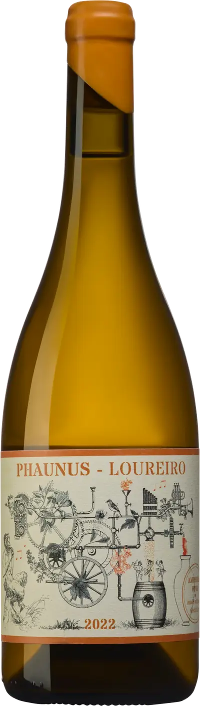 Produktbild för Adega Aphros Wine