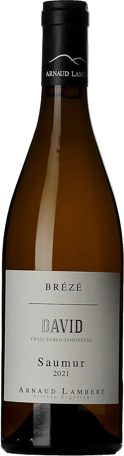 Produktbild för Saumur Blanc Brézé Clos David