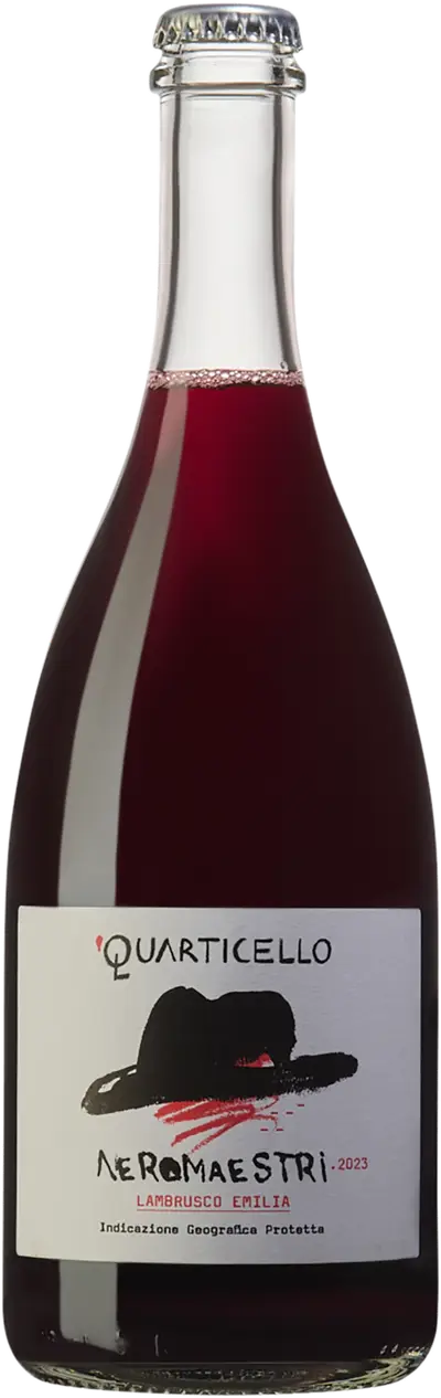 Produktbild för Neromaestri Lambrusco