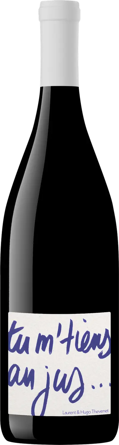 Produktbild för Domaine du Petit Pérout