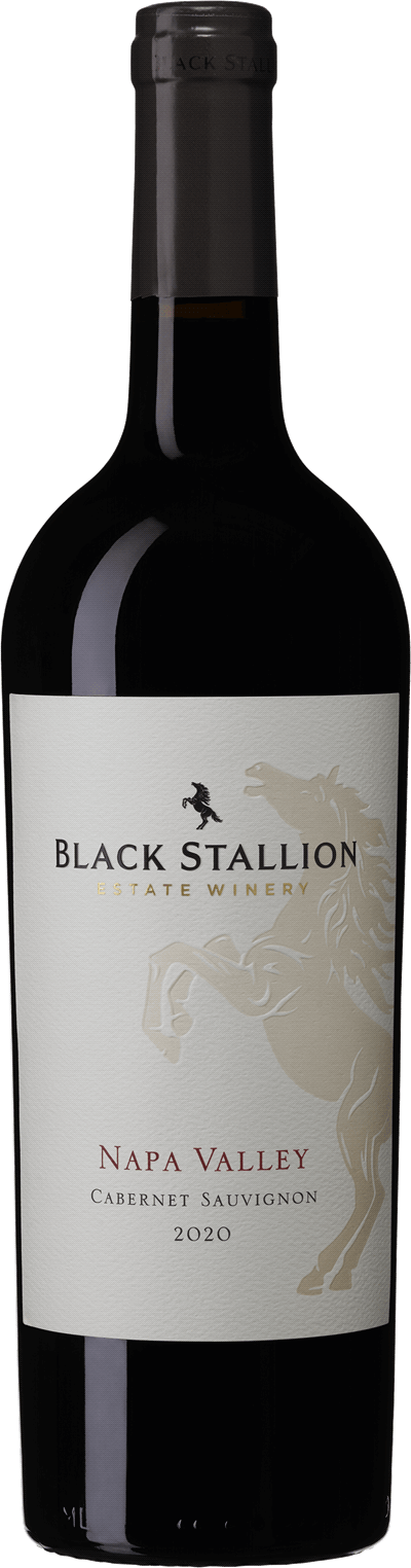 Produktbild för Black Stallion